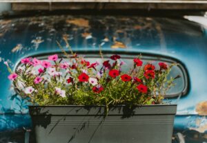 a blue car with a bunch of flowers in it